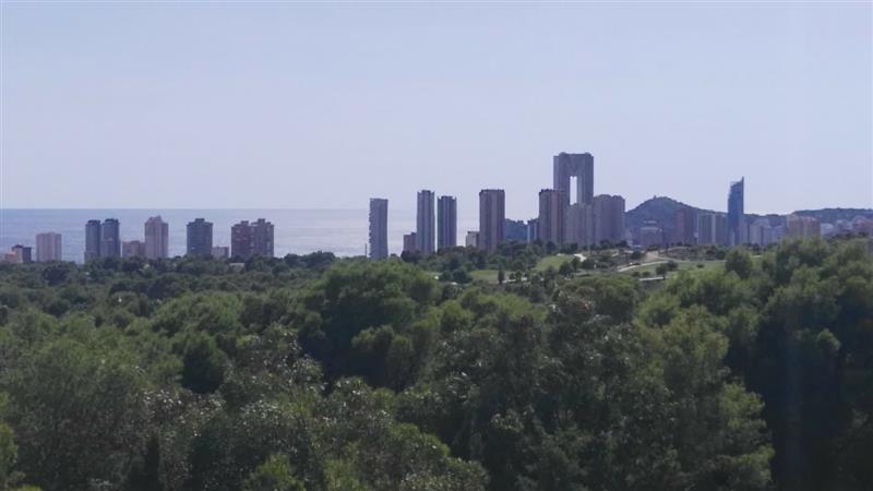 Benidorm Panorama